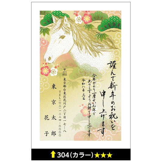 年賀状 カラー 304