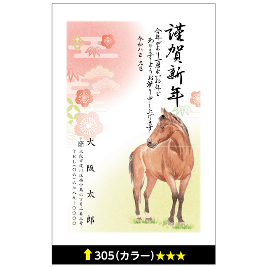 年賀状 カラー 305