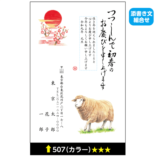 年賀状 カラー 507(添書き文組合せ)