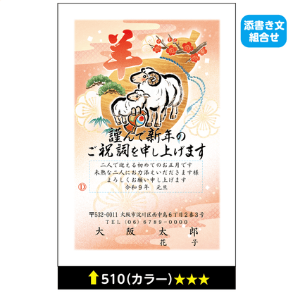 年賀状 カラー 510(添書き文組合せ)